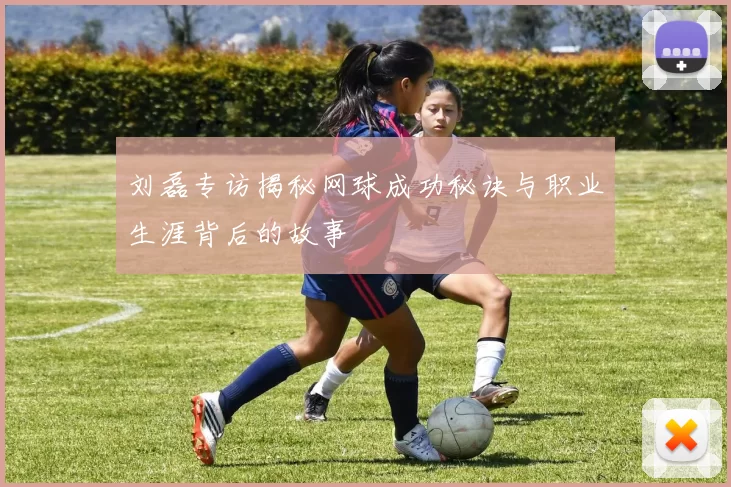 刘磊专访揭秘网球成功秘诀与职业生涯背后的故事