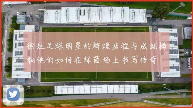 徐姓足球明星的辉煌历程与成就揭秘他们如何在绿茵场上书写传奇