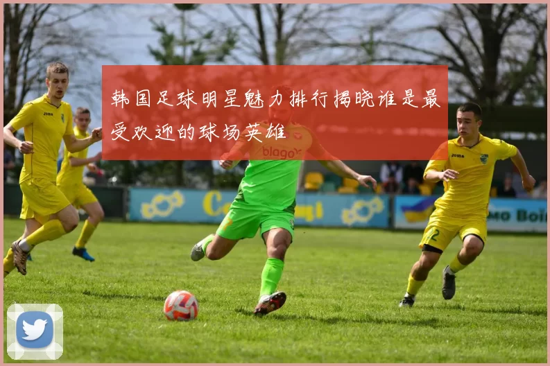 韩国足球明星魅力排行揭晓谁是最受欢迎的球场英雄