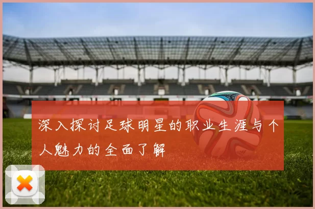 深入探讨足球明星的职业生涯与个人魅力的全面了解