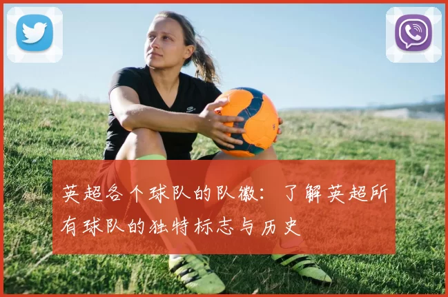 英超各个球队的队徽：了解英超所有球队的独特标志与历史
