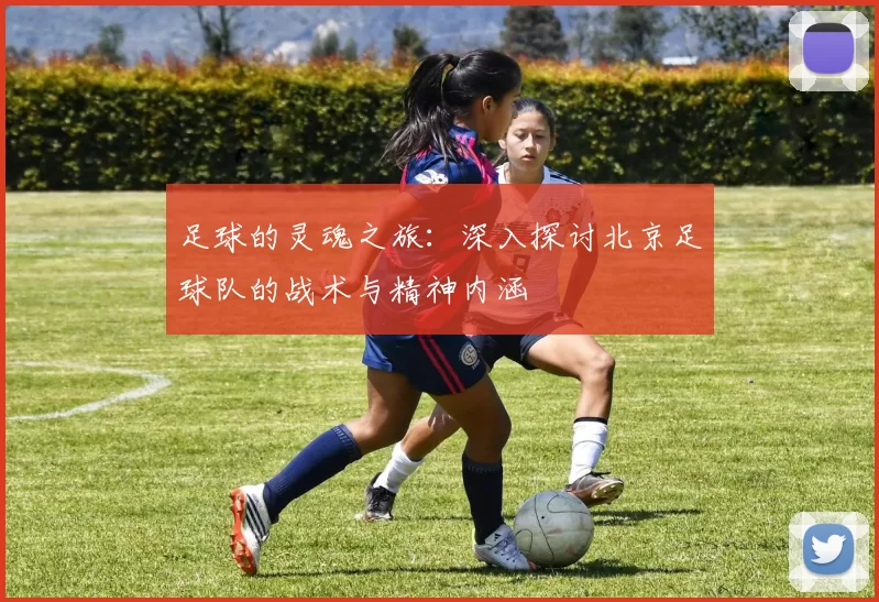 足球的灵魂之旅：深入探讨北京足球队的战术与精神内涵