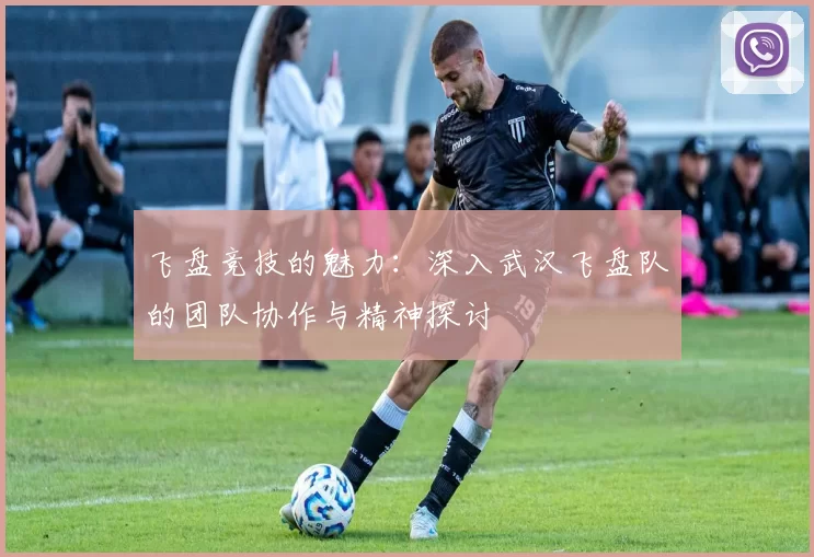 飞盘竞技的魅力：深入武汉飞盘队的团队协作与精神探讨