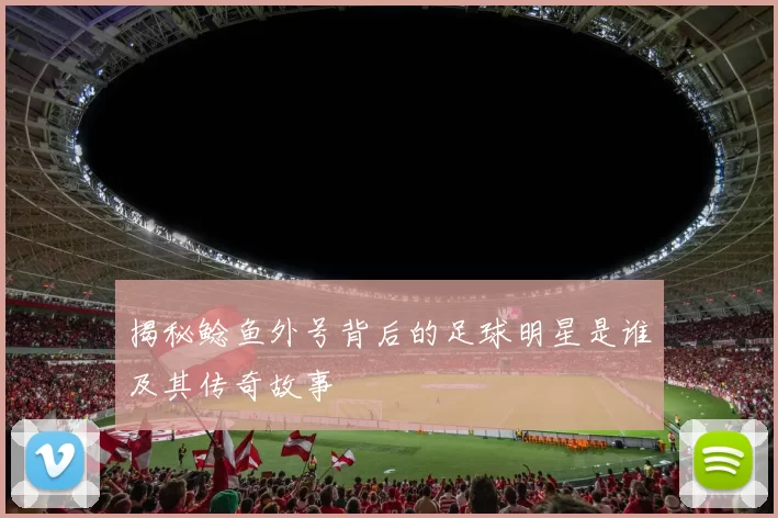 揭秘鲶鱼外号背后的足球明星是谁及其传奇故事